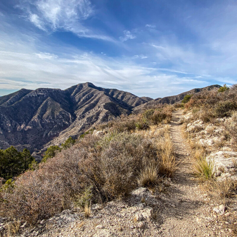 Guadalupe Mountains - Bush Mountain Trail IV