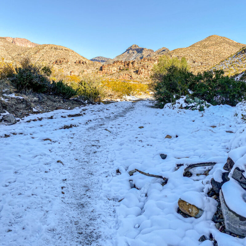 Big Bend - Snow Hiking