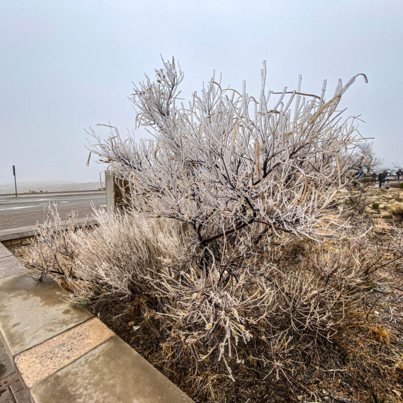 Carlsbad - Freezing Fog