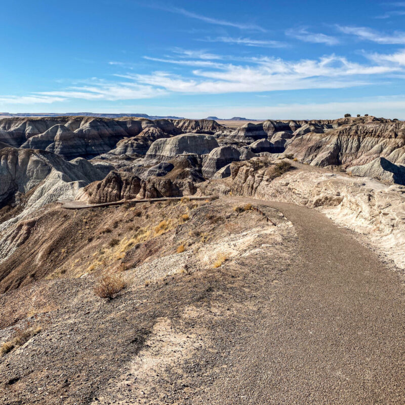 Petrified Forest - Blue Mesa