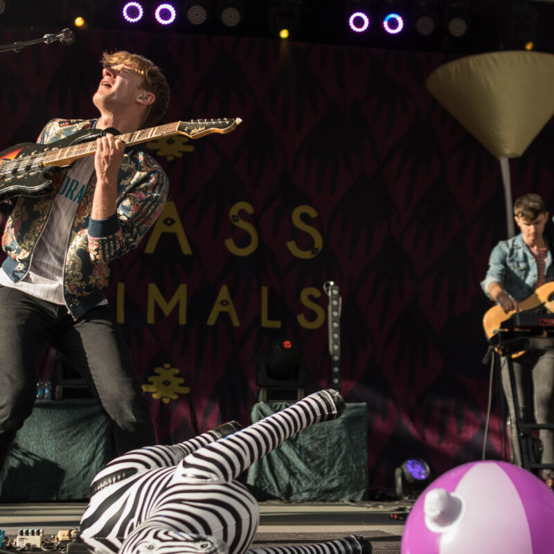 Glass Animals