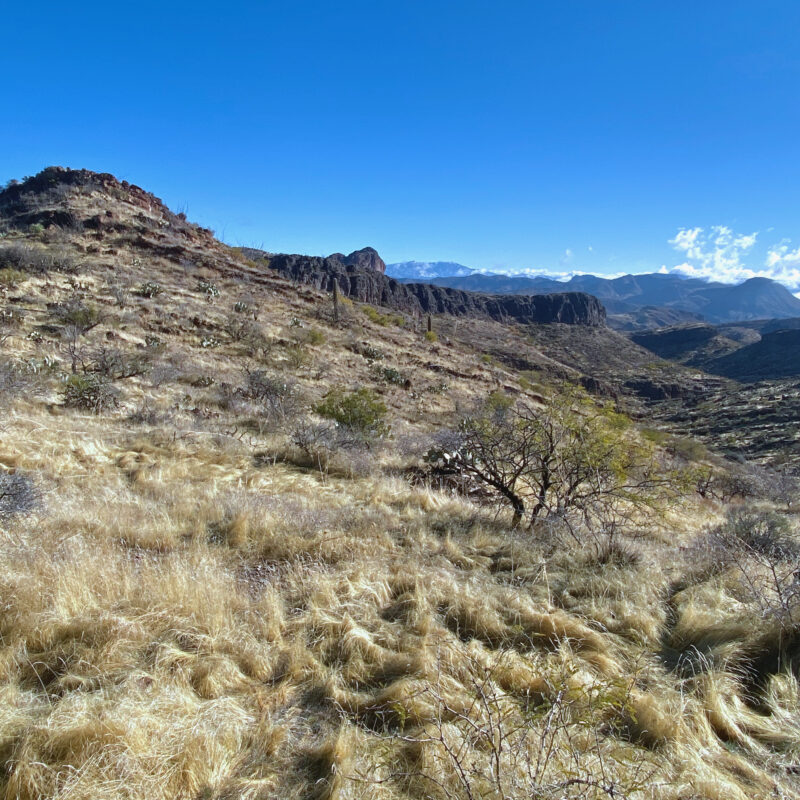 Alamo Canyon Vista