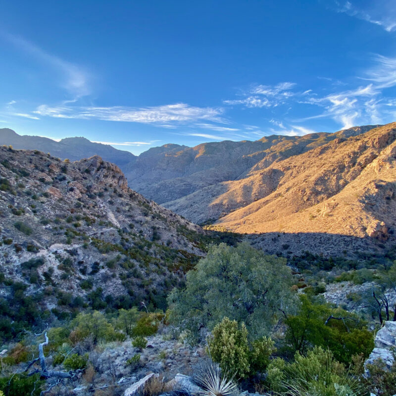 AZT Catalinas