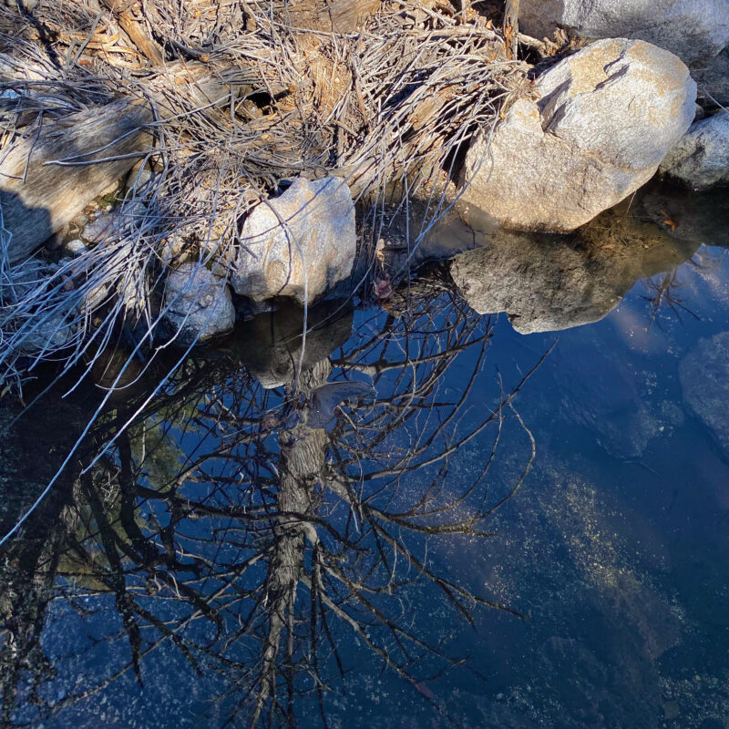 Spiky Reflection