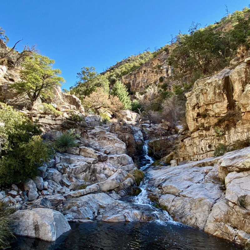 Sycamore Wash