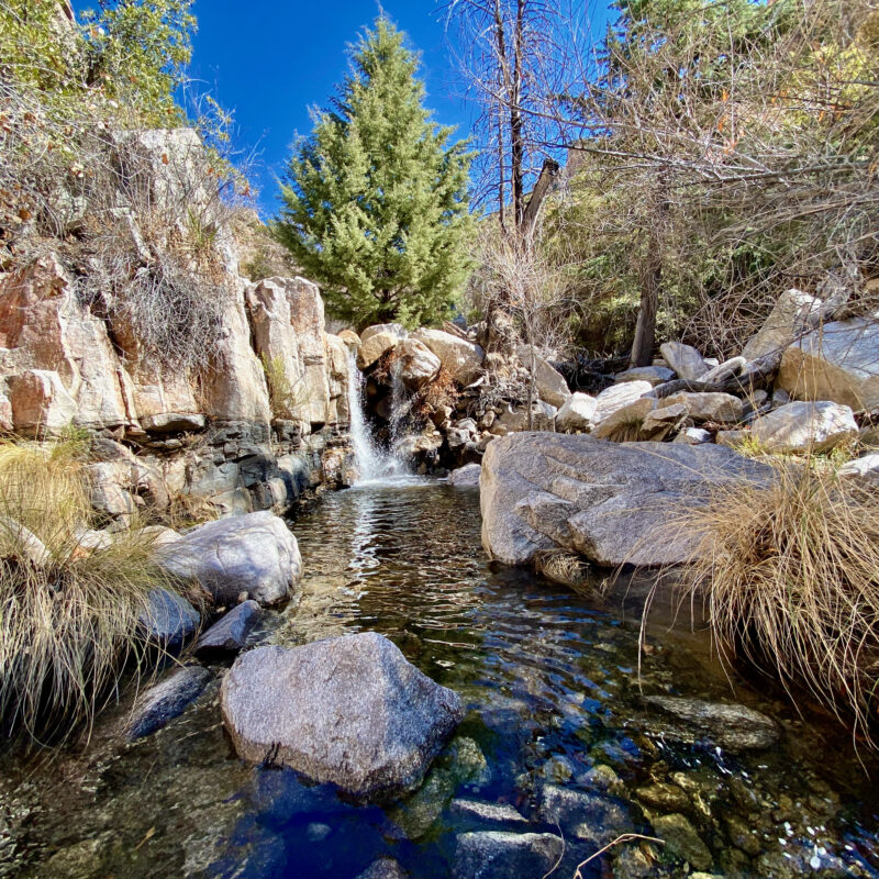 Sycamore Wash II