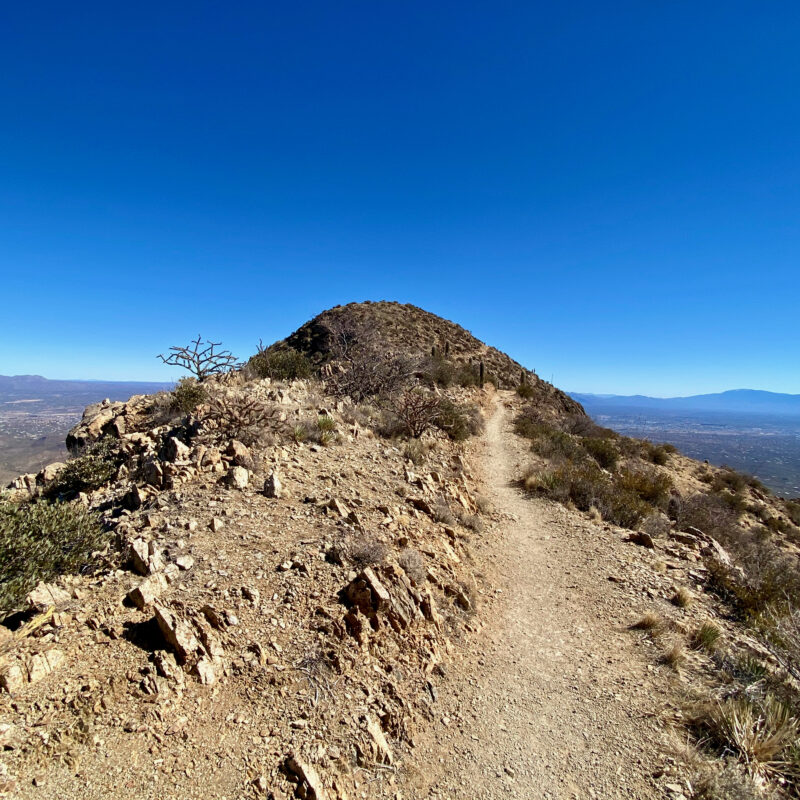 Approaching Wasson Peak