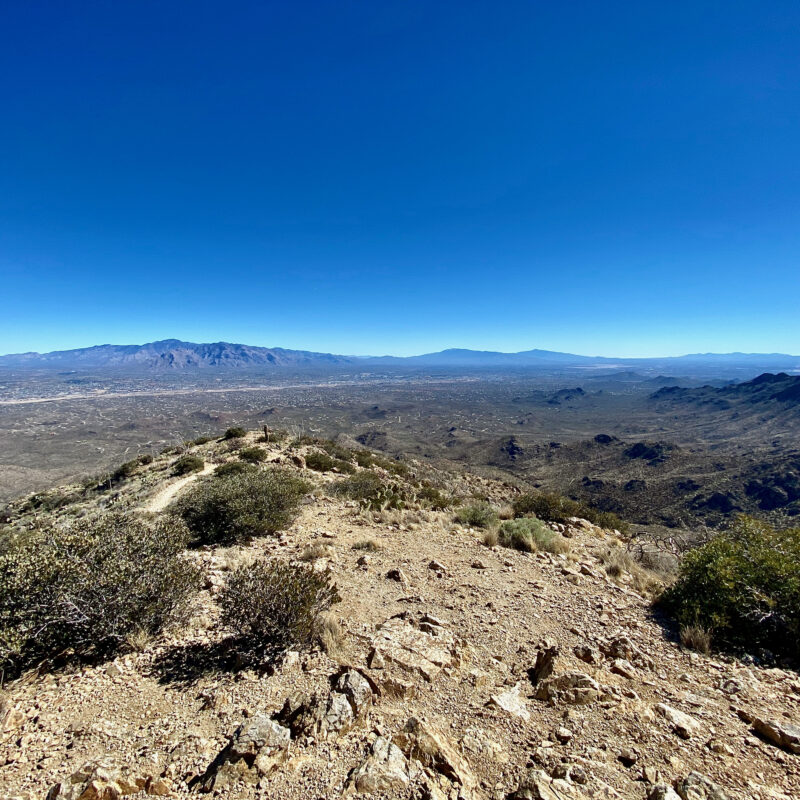 Wasson Peak