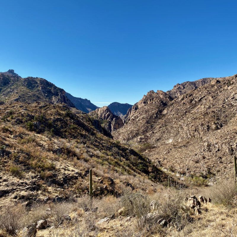 Box Camp Canyon