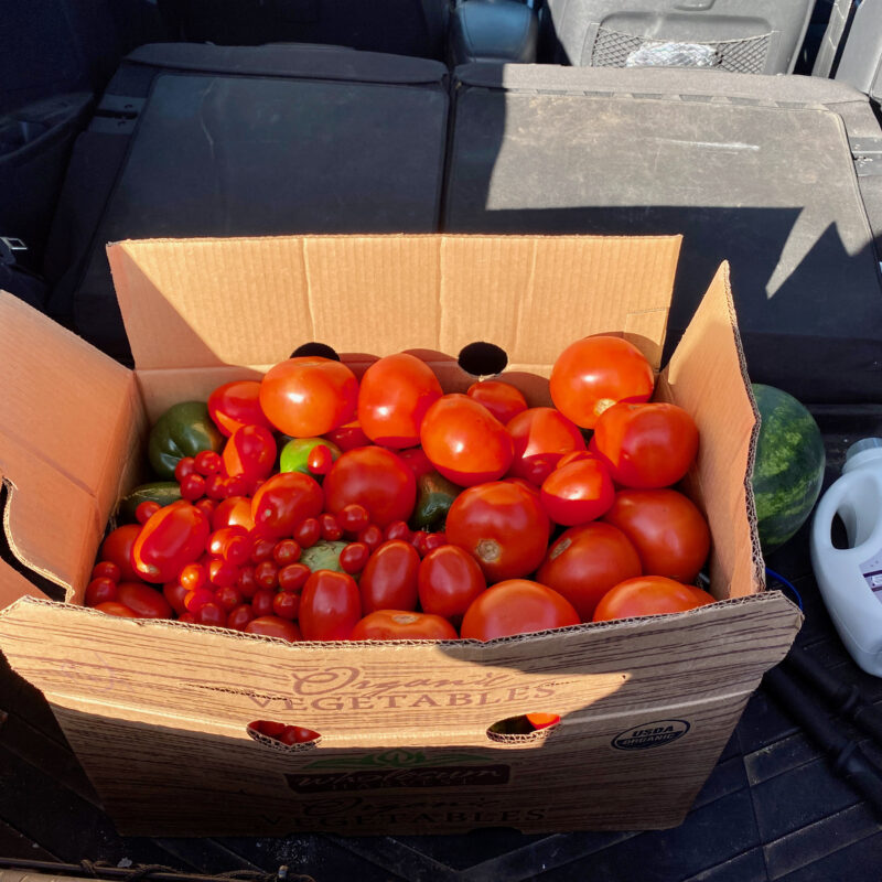 Produce Rescue!