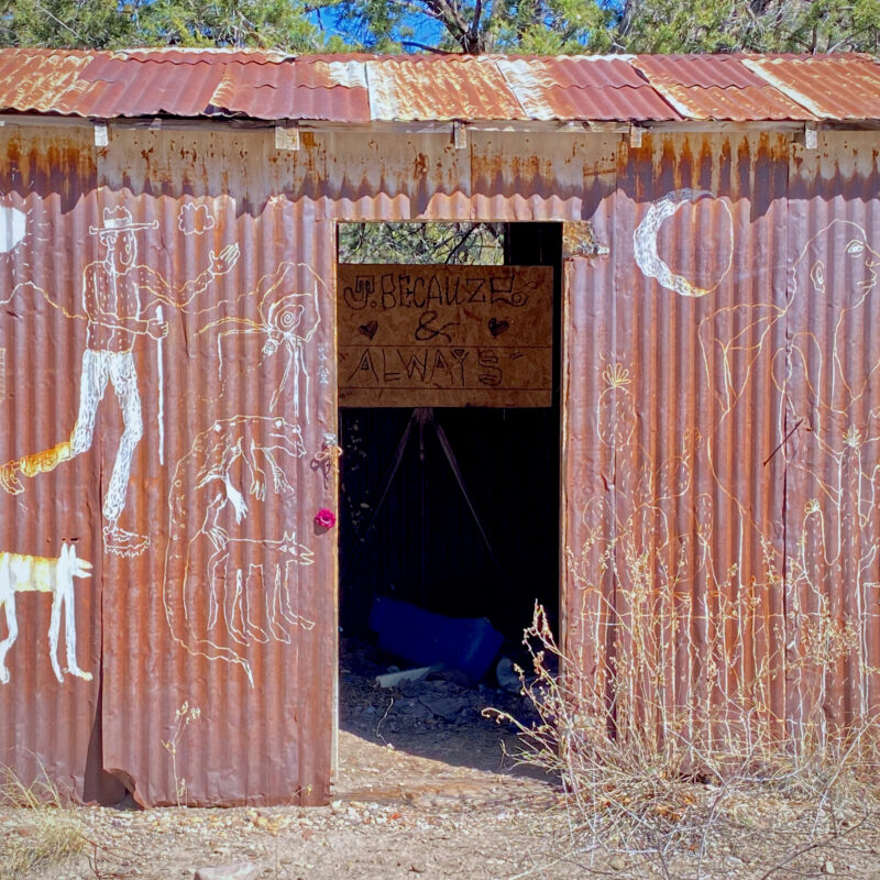Abandoned Gila Shack