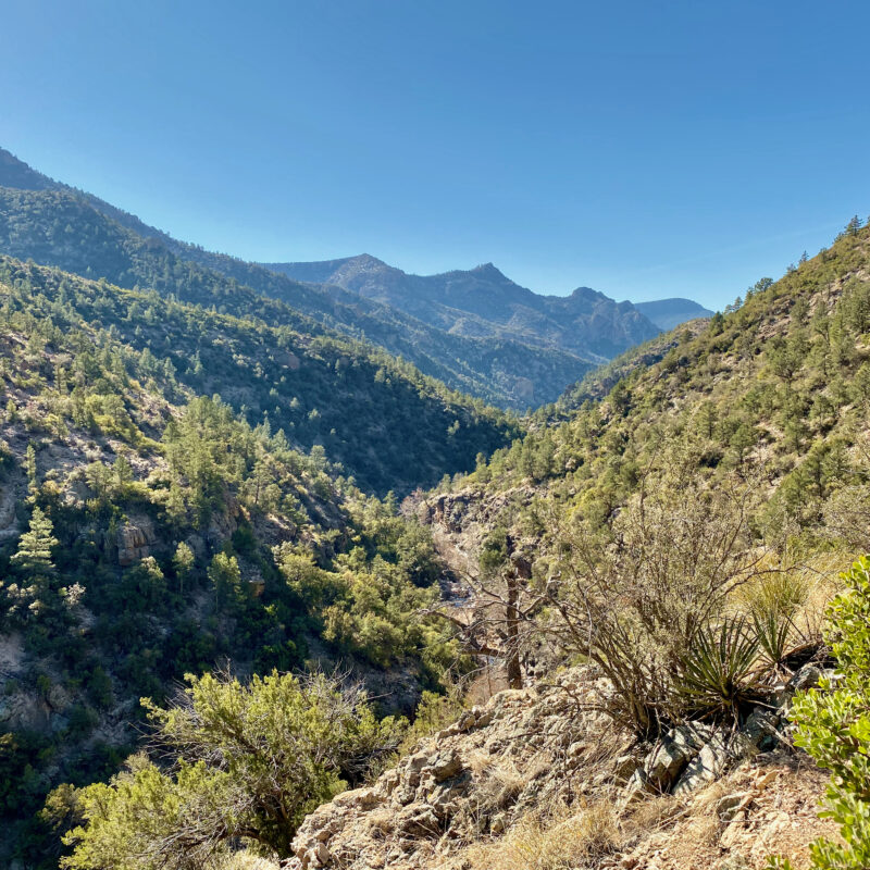 Ascending Skeleton Ridge