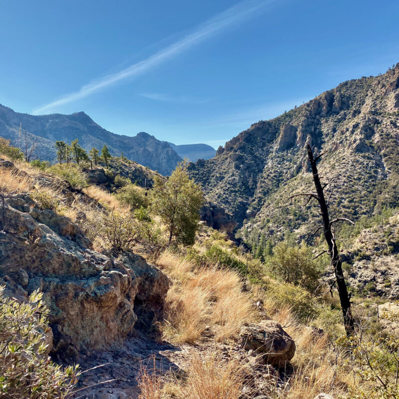 Skeleton Ridge