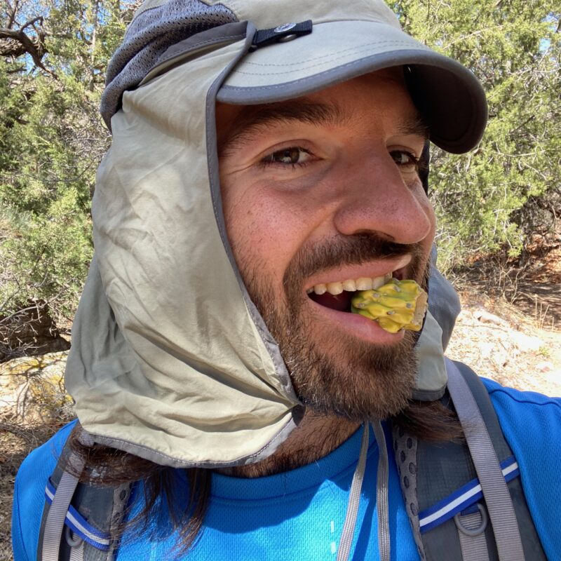 Snackin' on Cholla