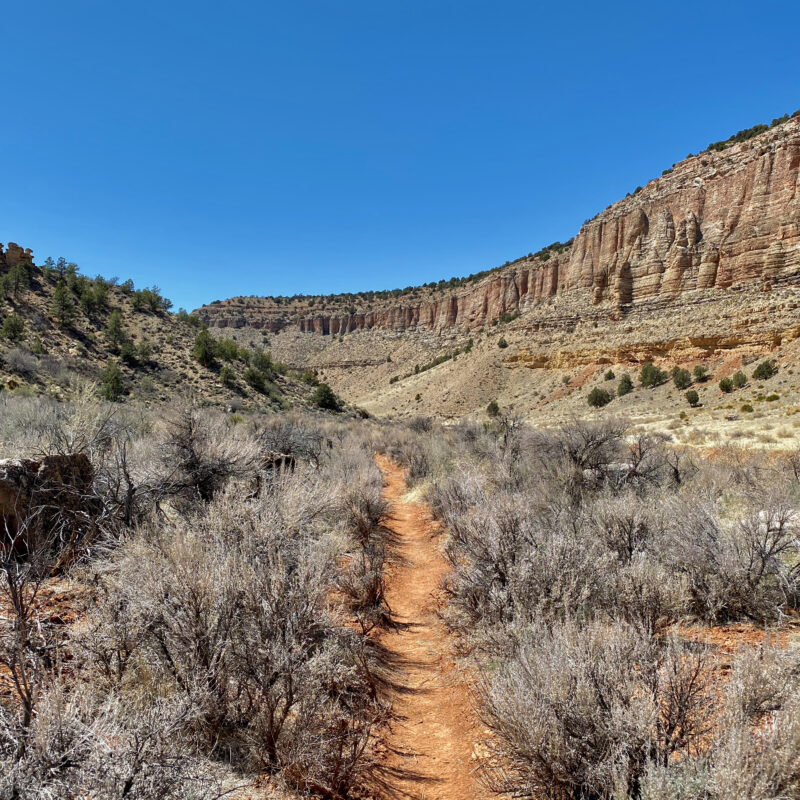 Kanab Creek Wilderness