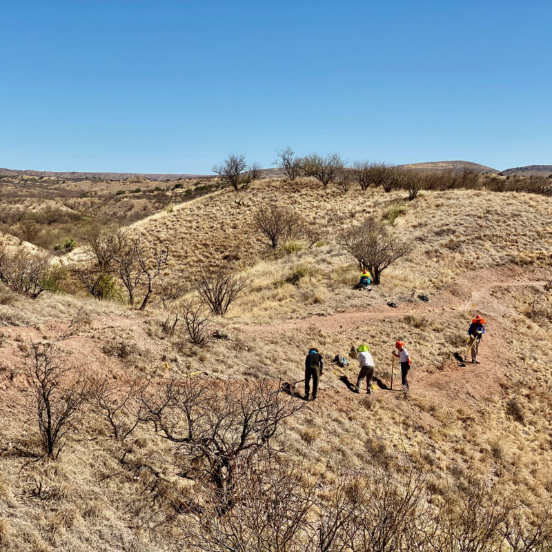 Temporal Gulch Redux