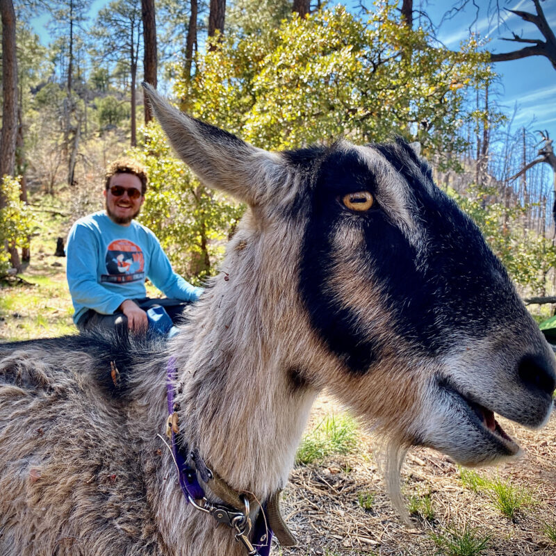 Trail Time and the Goat