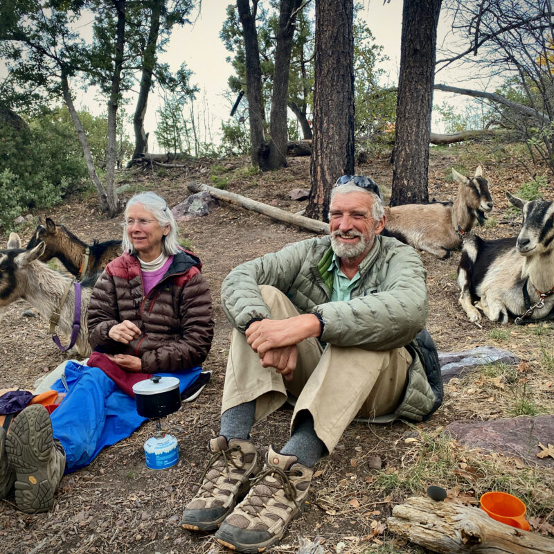 Kylar and Tom and Goats