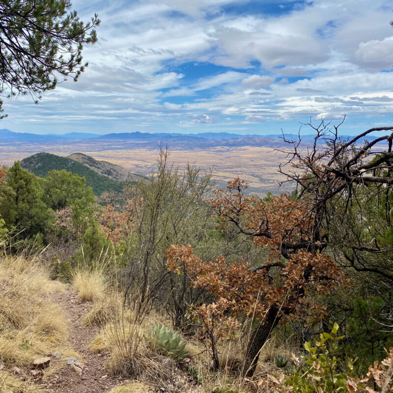 Ida Canyon Views