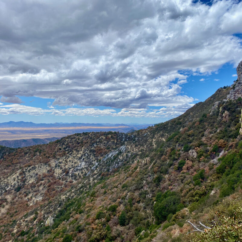 Oversite Canyon