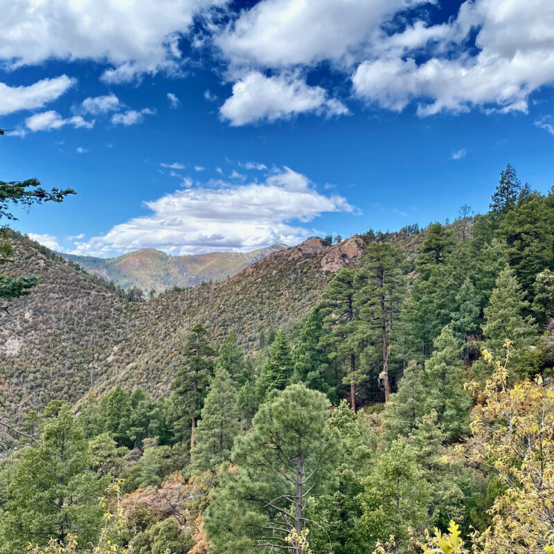 Oversite Canyon Interior