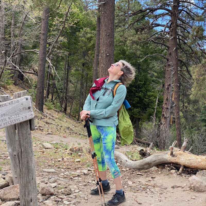 Windy Day Up Top