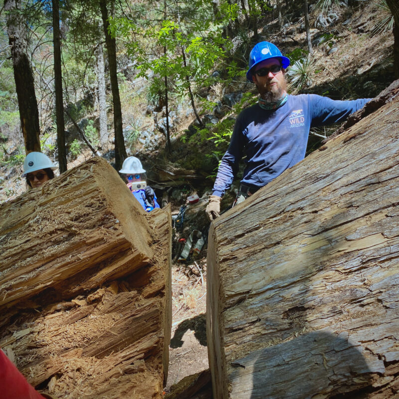 Crosscut Pic
