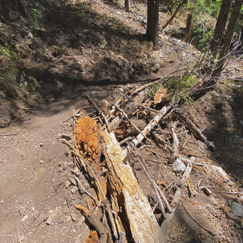 Trail Conserving Berm