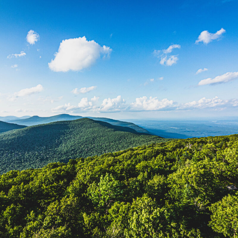 Catskills