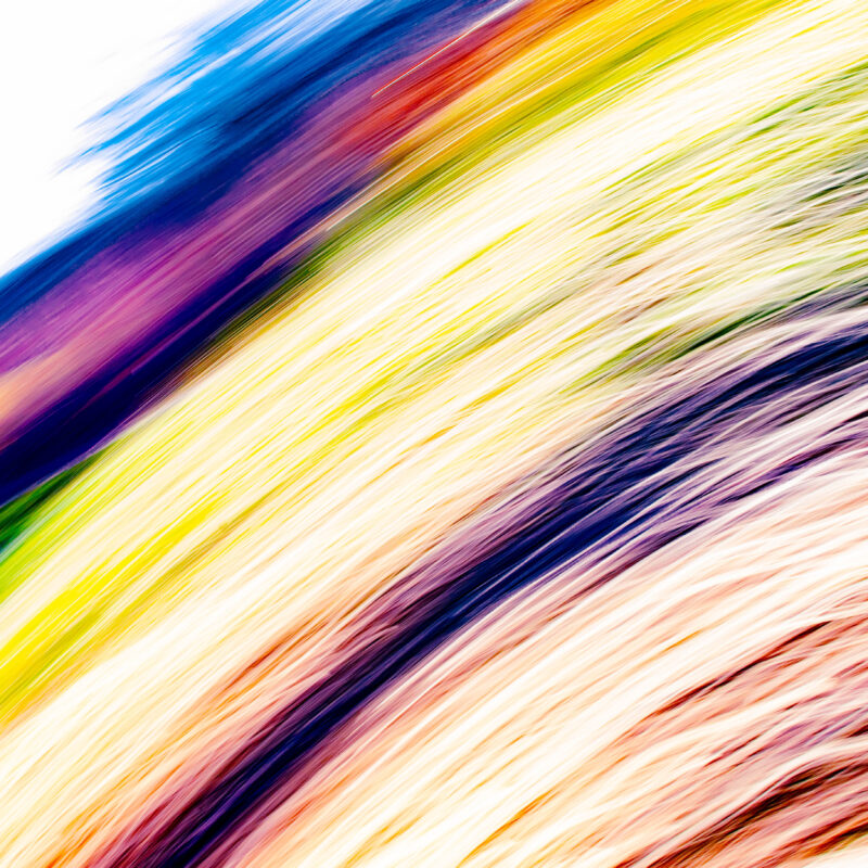 Curved and Prismatic