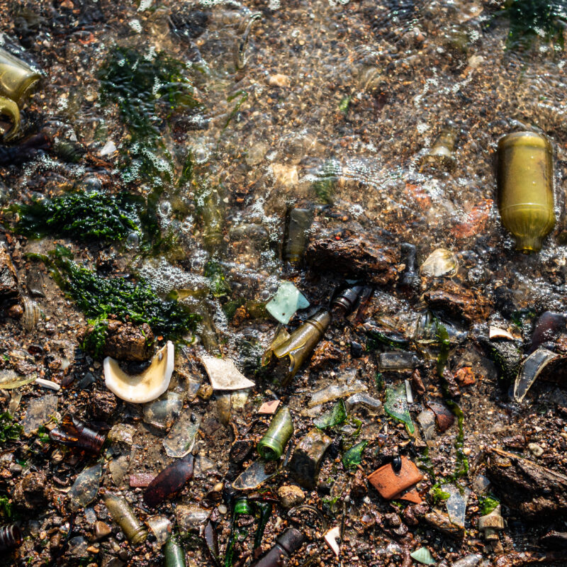 Sea Glass of Dead Horse Bay