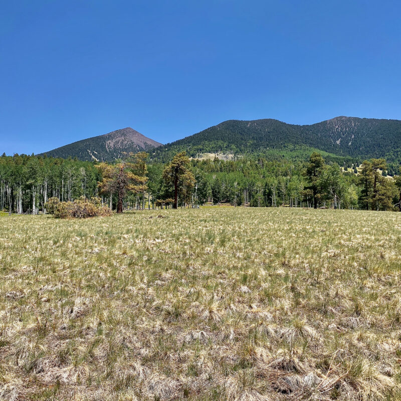 San Francisco Peaks Up Close