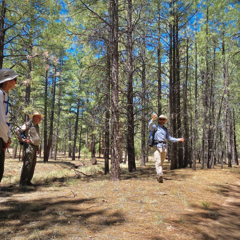 Evaluating Impacted Trail Along the AZT