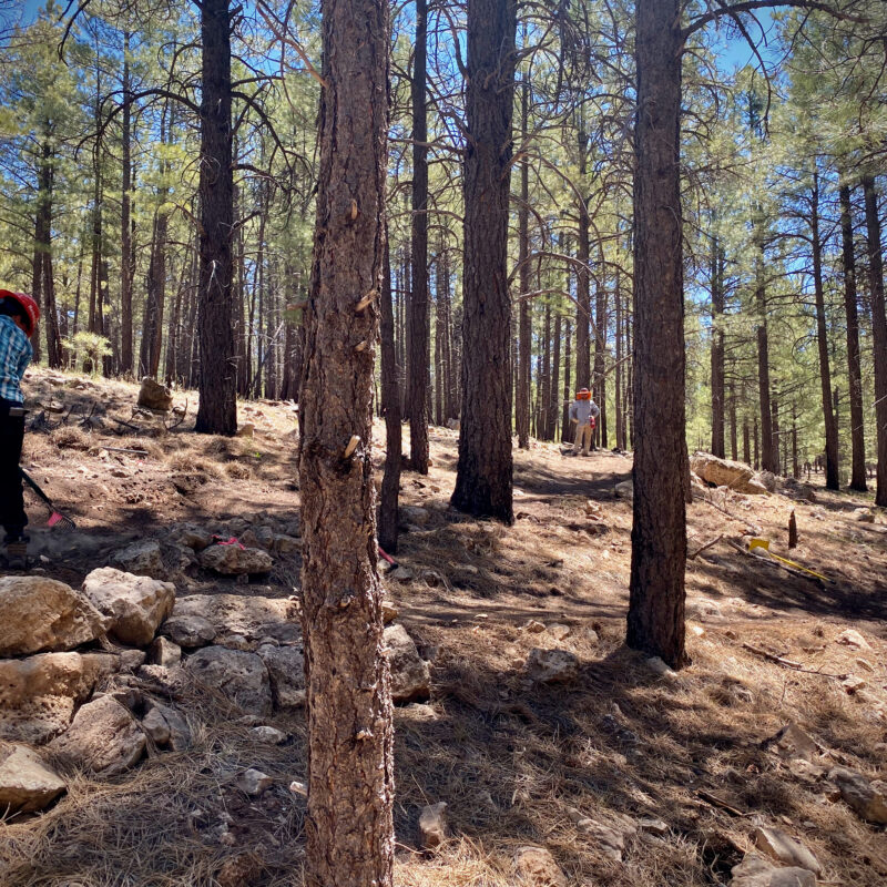 Watching the Switchback