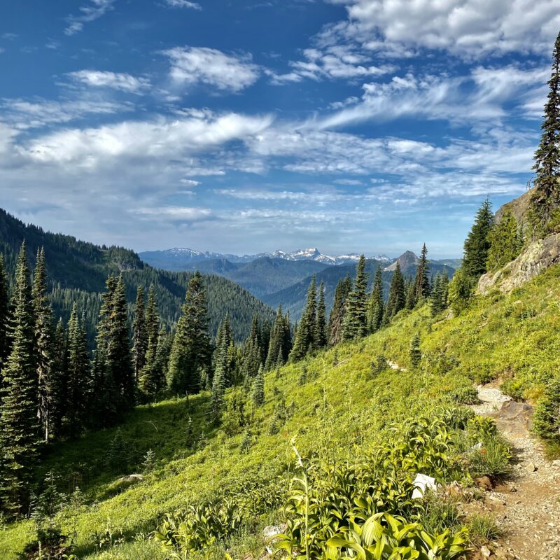 Into Rainier Park Bounds