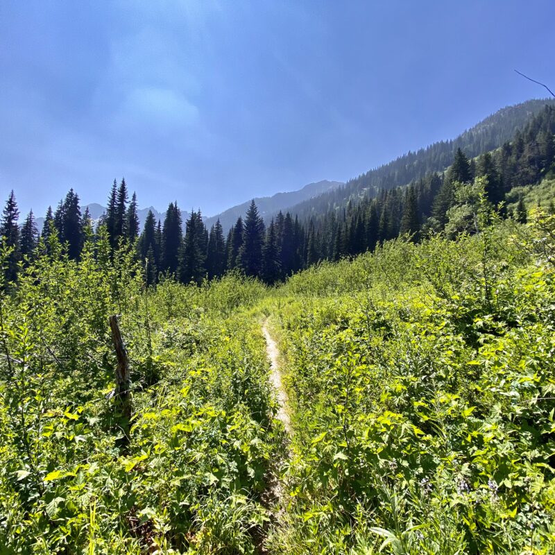 Pushing into the Lowlands