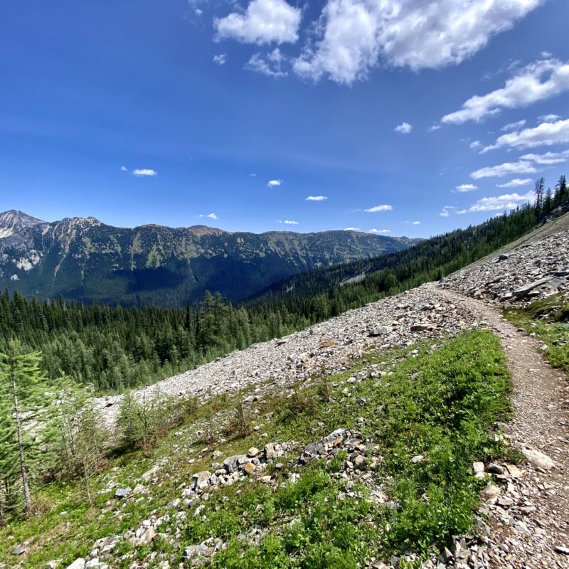 Same Trail, New Sights