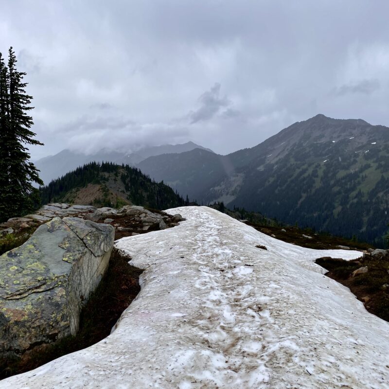 Snow Pathing