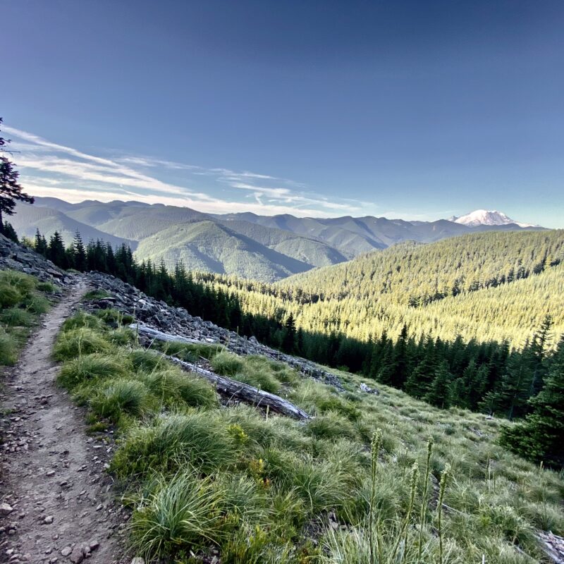 Rainier in the Open