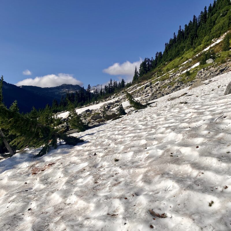 Snowfield Strolling
