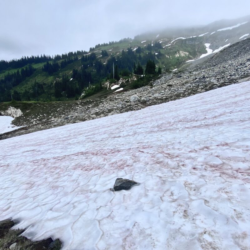 More Red Snow to Cross