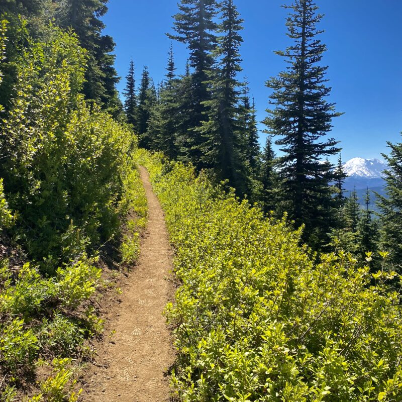 Rainier Peeks Keep Improving!