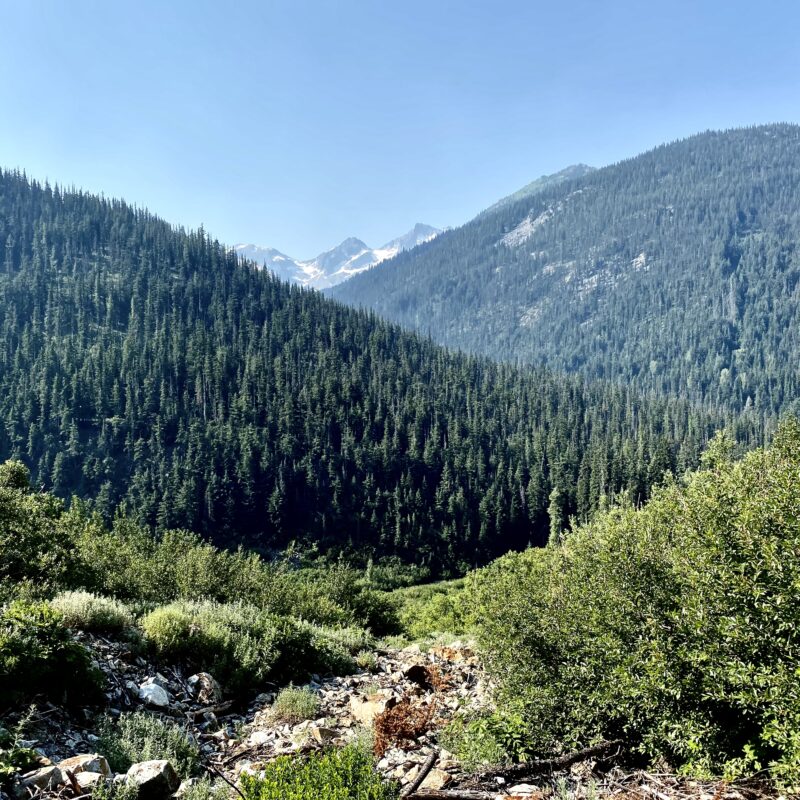 Peek of a Peak