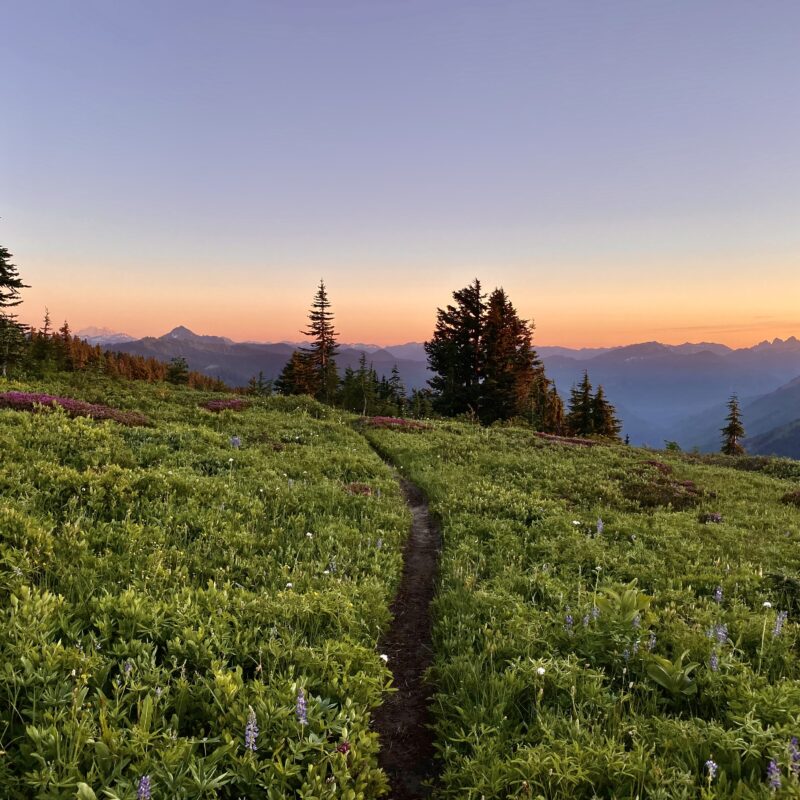 Sunset Walking Grizzly Peak