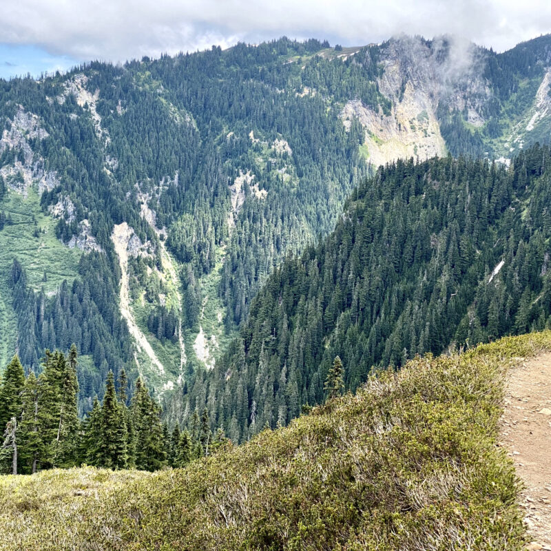 Distant Zigzag