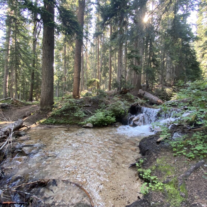 Golden Creek