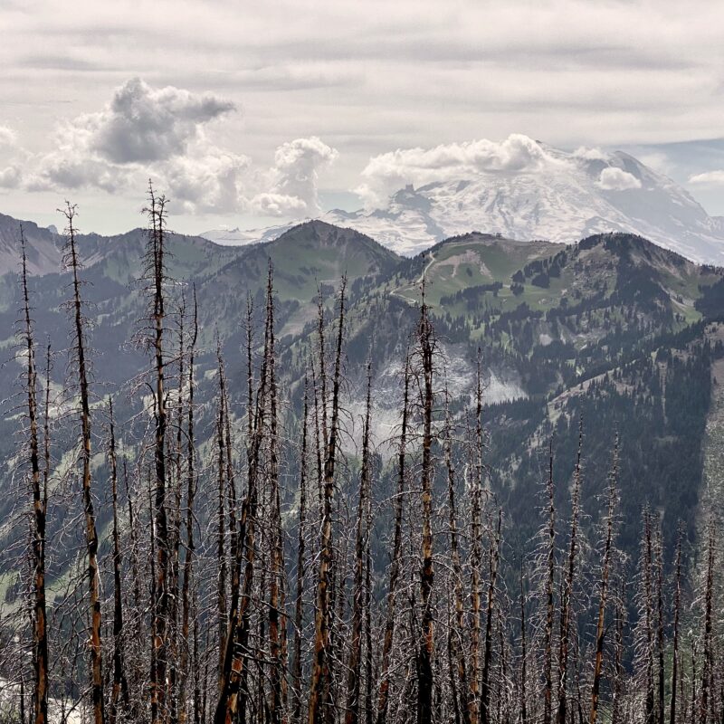 Cloudy Rainier
