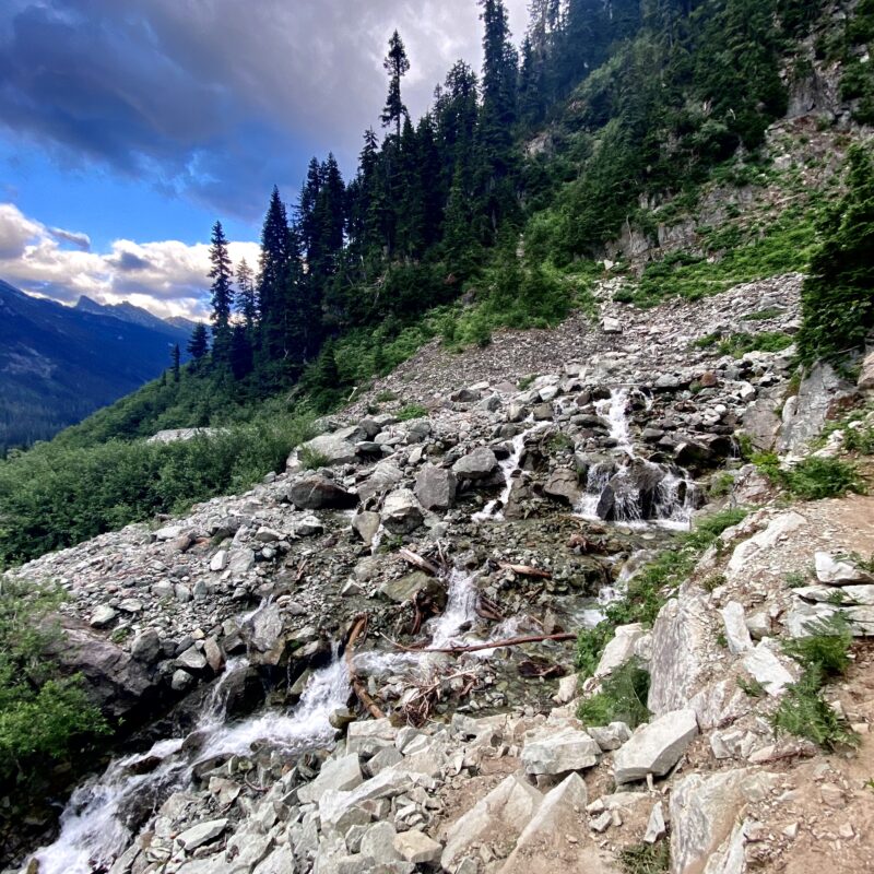 Gnarliest Stream