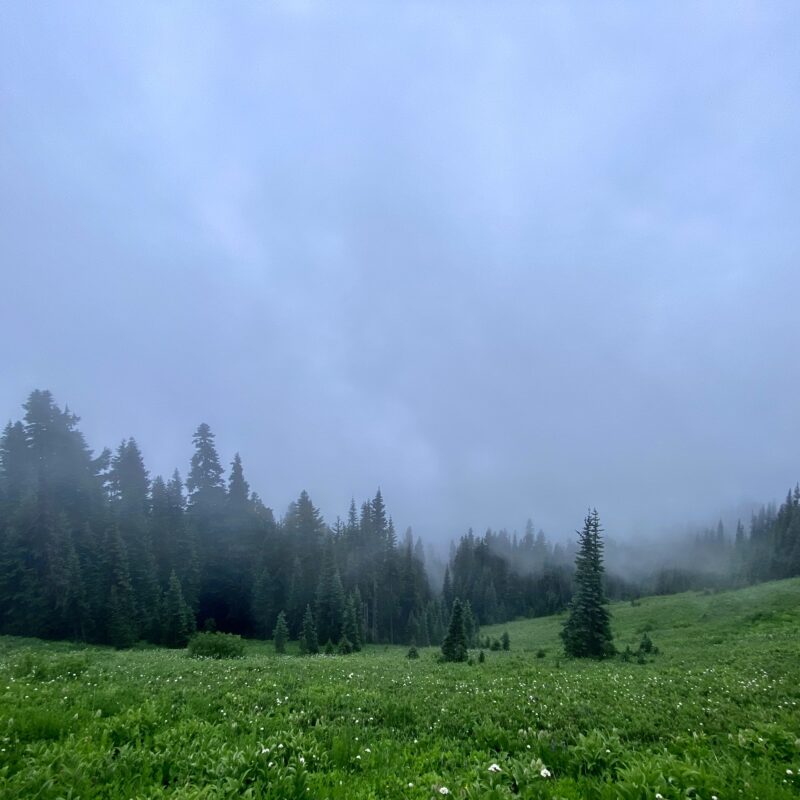 Gloom Darkening