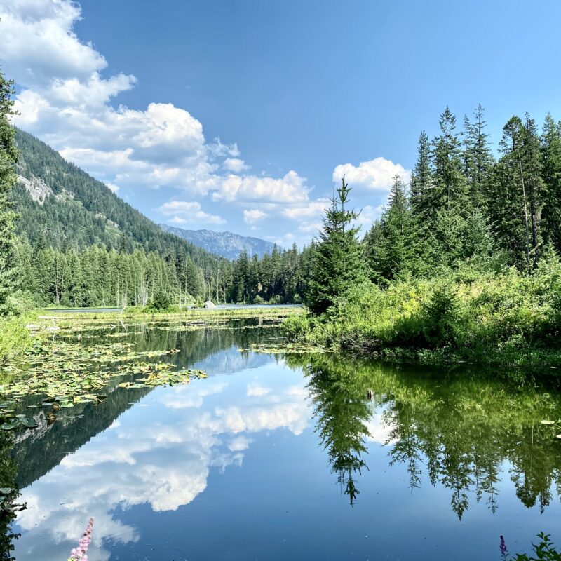 Howard Lake